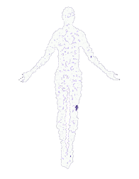 Advance Balance Clinic